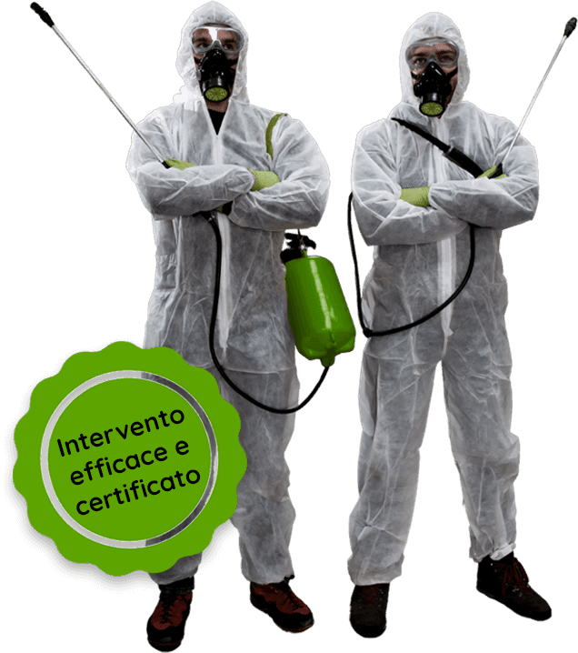 disinfestazione scarafaggi certificata Napoli