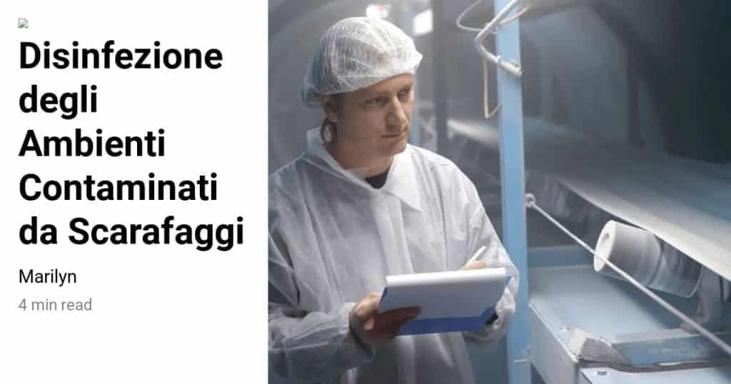 scarafaggio-it-disinfezione-degli-ambienti-contaminati-da-scarafaggi-open-graph-1024x538